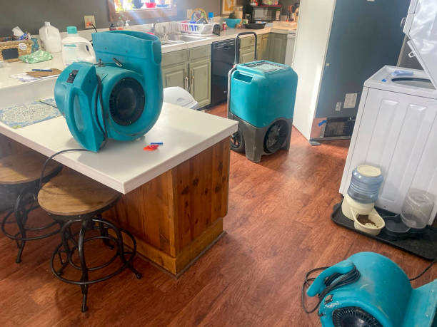 Best Professional water damage repair  in Grandview, OH