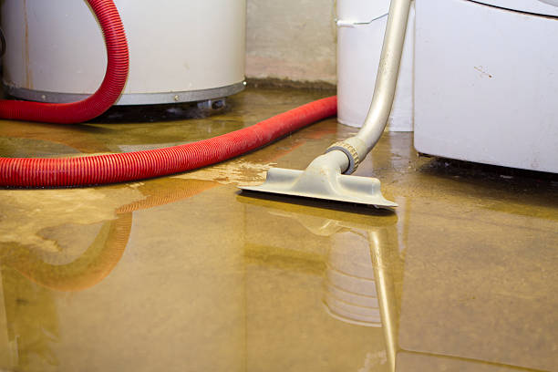 Best Water damage cleanup near me  in Grandview, OH