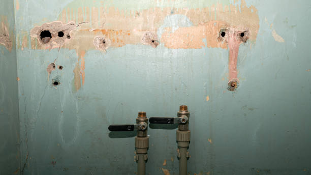 Best Mold removal after water damage  in Grandview, OH